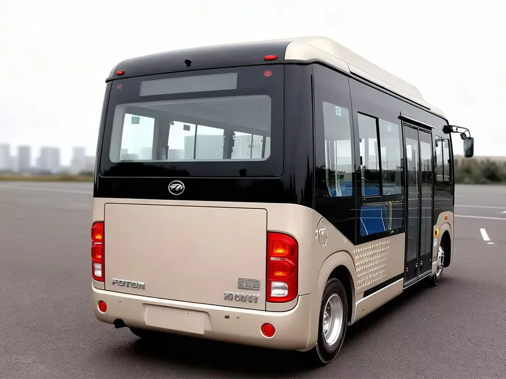 19 орын таза электр автобусын қолданды